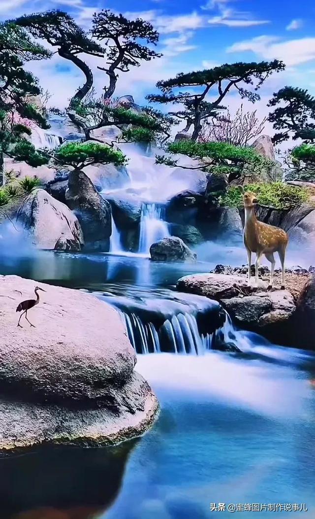 小艾比摄影家