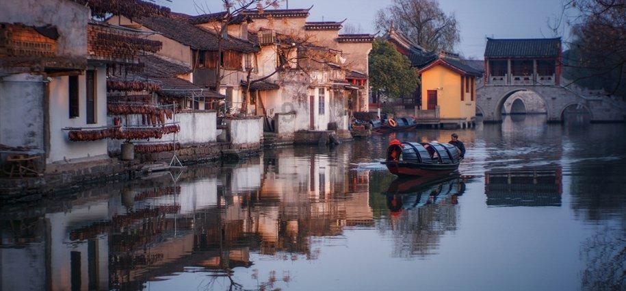 蓝色怪物救援