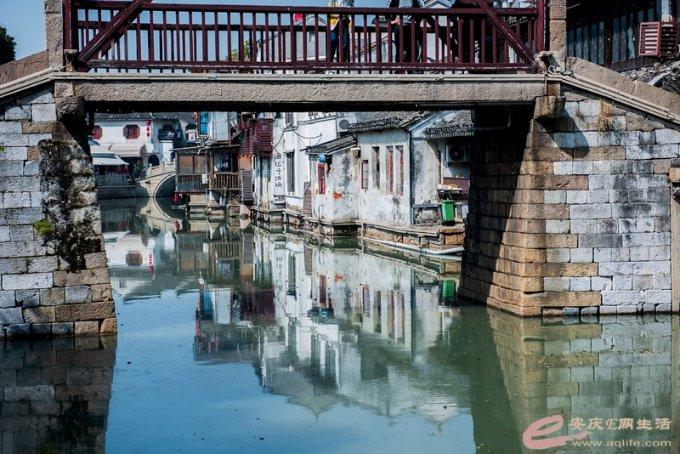 威海高区税务局:深耕精细化服务 绘就税务好“枫”景