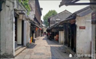 全民烧脑3去广告版